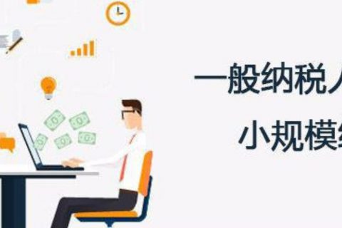 拉薩的一般納稅人和小規(guī)模納稅人納稅方式以及認(rèn)定資格是什么？同內(nèi)地企業(yè)有區(qū)別嗎？