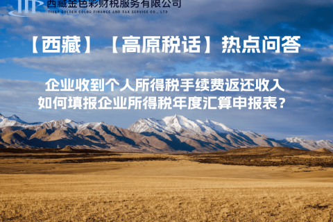 企業(yè)收到個人所得稅手續(xù)費返還收入，如何填報企業(yè)所得稅年度匯算申報表？